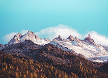 开云:让云端生长的故事